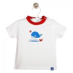 PT: top wielorybek, 68cm / 6m