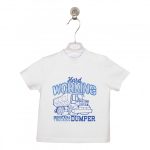 PT: t-shirt TRUCK, 80cm / 12m