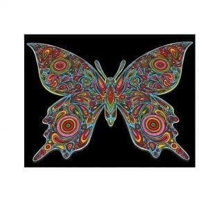 Colorvelvet: malowanka motyl 47x35cm