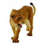 collecta: lwica afrykańska