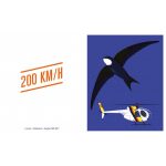 Na wyścigi! / TATARAK - obrazek 3