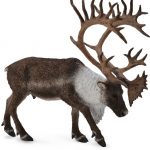 Collecta: FIGURKA RENIFER CARIBOU
