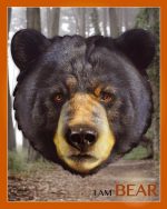 MADD CAPP: Puzzle 550 EL. I AM BEAR - Niedźwiedź 10+ - obrazek 3
