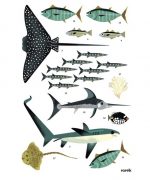 Poppik: Wyklejanka plakat OCEAN 6+ - obrazek 2