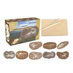 Bones&More: Duży szkielet dinozaura - wykopalisko na kamieniu