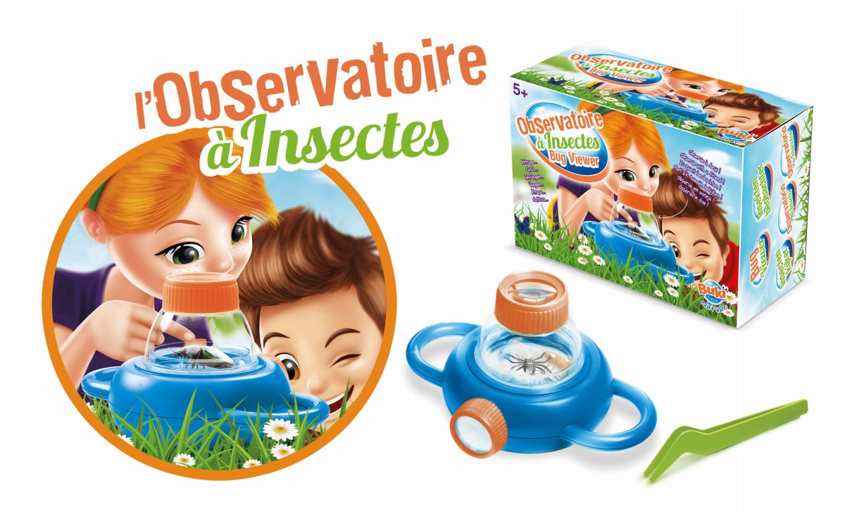 Buki: Obserwatorium żywych owadów 5+ - obrazek 2