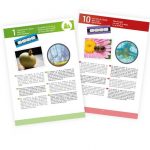 Buki: Mikroskop X400 - 15 doświadczeń 6+ - obrazek 2