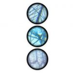 Buki: Mikroskop X400 - 15 doświadczeń 6+ - obrazek 3