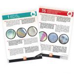 Buki: Mikroskop dwuokularowy 40 doświadczeń - obrazek 2