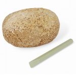 Buki: skamielina jajko dinozaura 6+