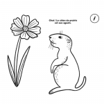 Auzou: zestaw 50 kolorowanek z kredkami NATURA - obrazek 2