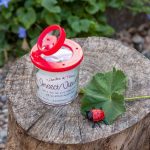 Rex London: Pudełko ze szkłem powiększającym, Cuda Natury - obrazek 2