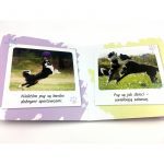 Kapitan Nauka: książka „jakie to ciekawe - pieski” - obrazek 2