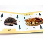 Kapitan Nauka: książka „jakie to ciekawe - w lesie” - obrazek 2
