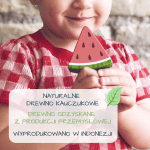 Tender Leaf Toys: Mini sklepik z lodami na patyku - obrazek 2