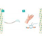 Auzou: podwójna bransoletka szczęście - obrazek 2