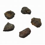 Buki: Mały archeolog - KOSMICZNE SKAŁY - obrazek 3