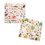 Moulin Roty Kalkomania ODKRYWCA Jardin du Moulin - obrazek 3