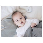 PIAPIMO: Poduszka welurowa do wózka i łóżeczka 30x20 cm szara - obrazek 2