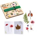 Djeco: ZESTAW kreatywny praska i zielnik BOTANIK - obrazek 2