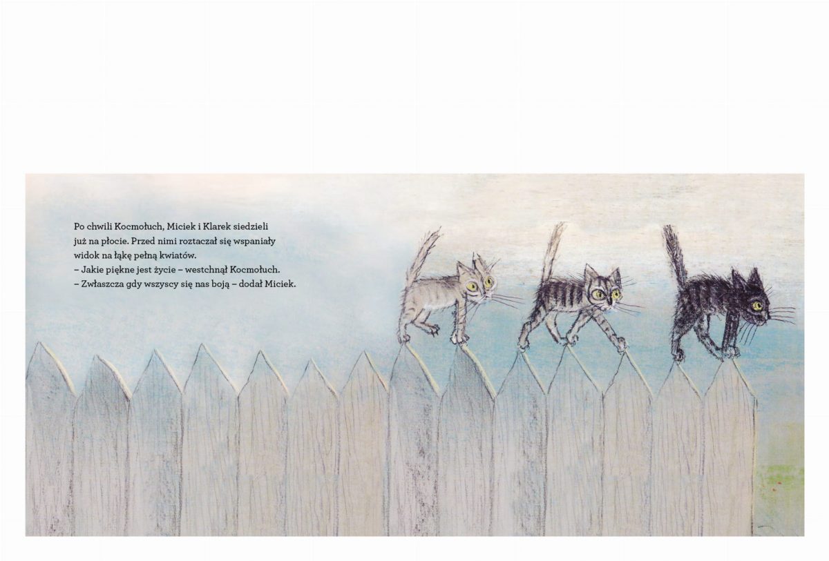 Kocie ścieżki, Piotr Wilkoń / TATARAK - obrazek 4