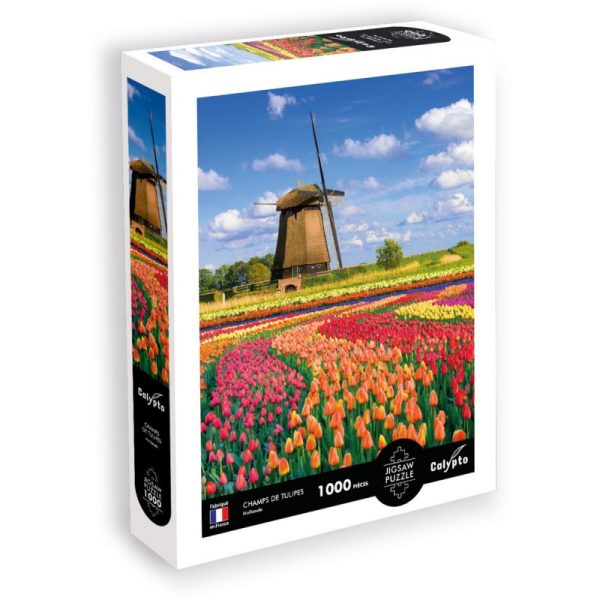 Calypto: Puzzle 1000 el. Pola Tulipanów - Holandia