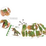 CREA LIGN: T-Rex duża makieta do złożenia 6+ - obrazek 3