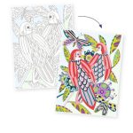 Djeco: Obrazy do kolorowania w teczce - PTAKI 8+ - obrazek 2