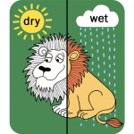 TYRRELL KATZ: DŻUNGLA - Parasol zmieniający kolory - obrazek 3