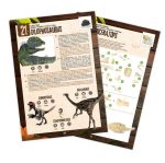 Buki: Pudełko 25 niespodzianek z dinozaurami 6+ - obrazek 3