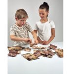 Buki: Pudełko 25 niespodzianek z dinozaurami 6+ - obrazek 5