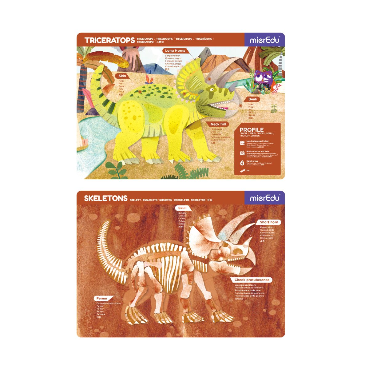 ME0545_01 mierEdu: układanka magnetyczna Triceratops - obrazek 3