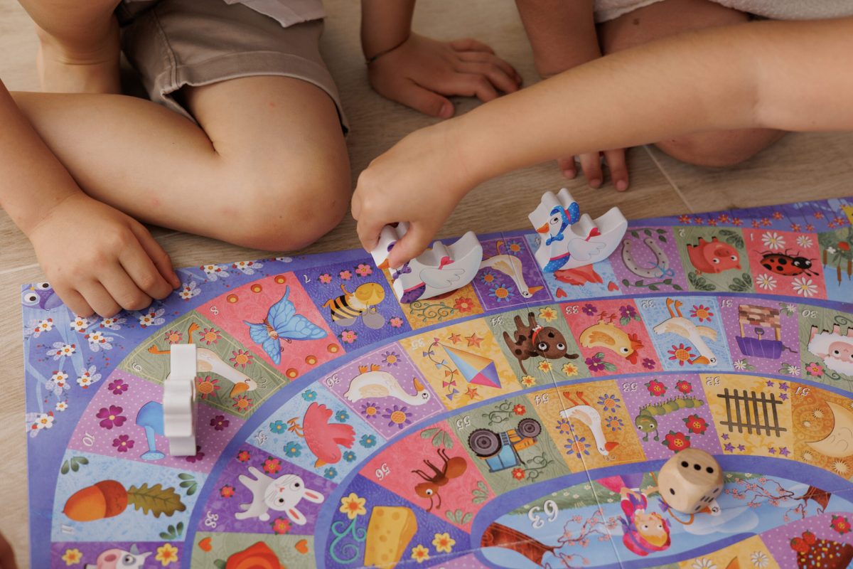 LUDATTICA: THE GOOSE GAME – gra planszowa – GĘSI WYŚCIG 2+ - obrazek 4