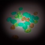 Moulin Roty: Świecące meteoryty Les Petites Merveilles - obrazek 2