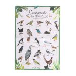 Moulin Roty: zestaw ODKRYWCY PTAKÓW 6+ - obrazek 5