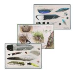 Moulin Roty: zestaw ODKRYWCY PTAKÓW 6+ - obrazek 3