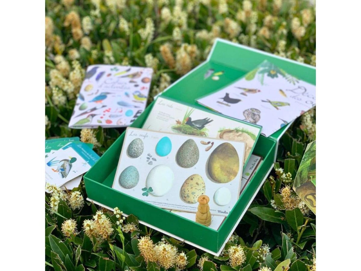 Moulin Roty: zestaw ODKRYWCY PTAKÓW 6+ - obrazek 6