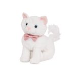 Our Generation: Kotek z regulowanymi kończynami – TURKISH ANGORA KITTEN