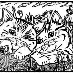 COLORVELVET: Kolorowanka Welwetowa Koty / 29x21cm