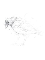 Drzewo życzeń - K. Applegate | Dwie Siostry - obrazek 4