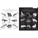 Gabinet oceanów. W Gabinecie Wiedzy | Dwie Siostry - obrazek 2