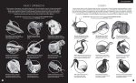 Gabinet zoologii. W Gabinecie Wiedzy | Dwie Siostry - obrazek 2