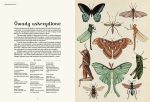 Animalium. Muzeum Zwierząt. Jenny Broom | Dwie Siostry - obrazek 2
