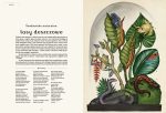 Animalium. Muzeum Zwierząt. Jenny Broom | Dwie Siostry - obrazek 4