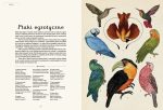 Animalium. Muzeum Zwierząt. Jenny Broom | Dwie Siostry - obrazek 3