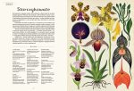 Botanicum. Muzeum Roślin. Kathy Willis | Dwie Siostry - obrazek 4