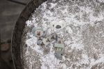 Elodie Details - Zawieszka do smoczka - Billy the Bear - obrazek 2