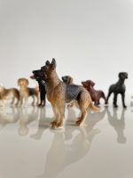 Safari Ltd: Psy. Zestaw Figurek w Tubie. - obrazek 5