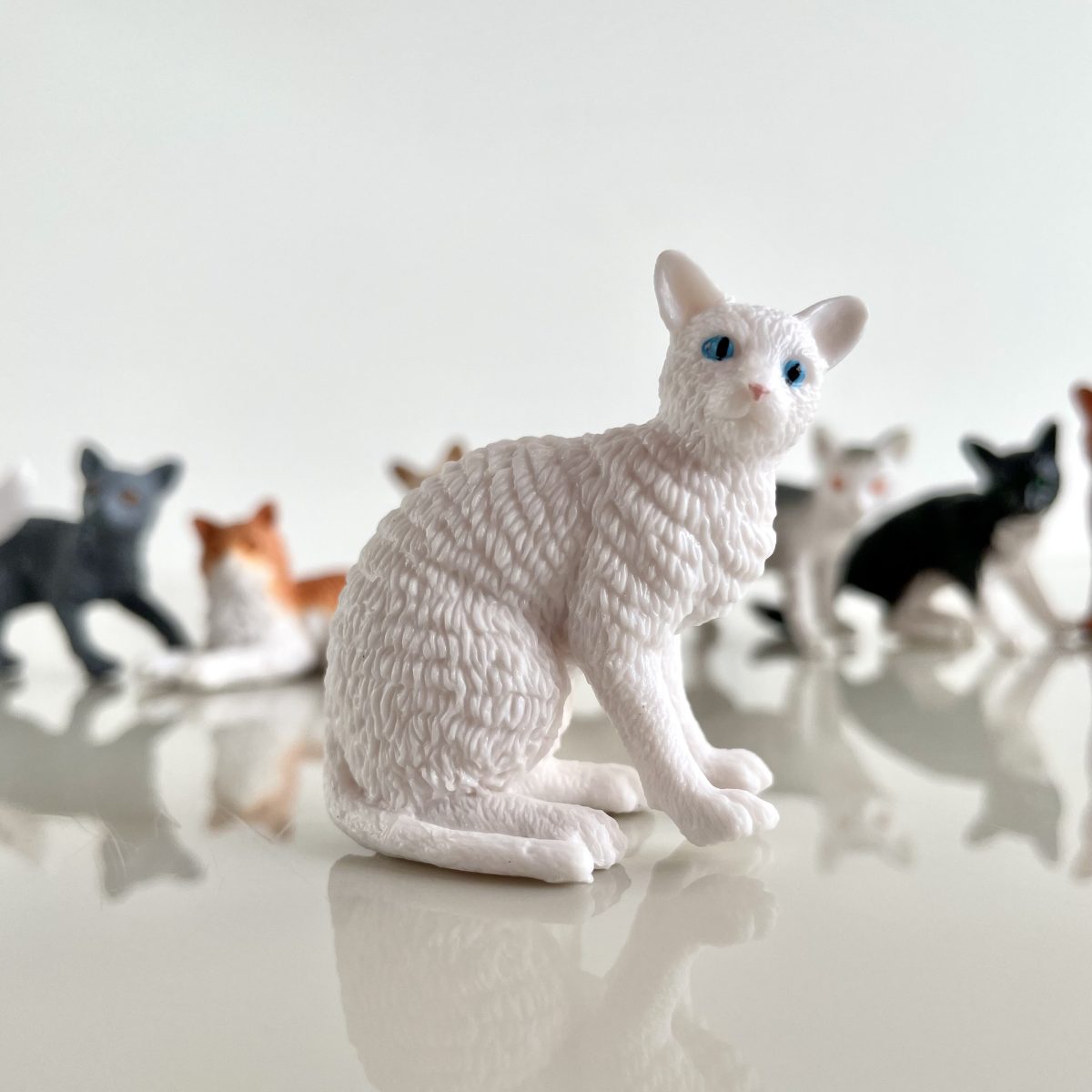 Produktowe-1 Safari Ltd: Koty Domowe. Zestaw Figurek w Tubie. - obrazek 4