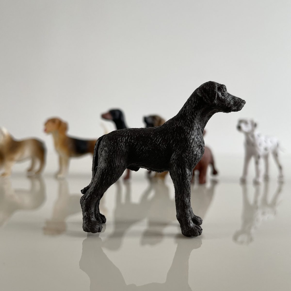 Safari Ltd: Psy. Zestaw Figurek w Tubie. - obrazek 3